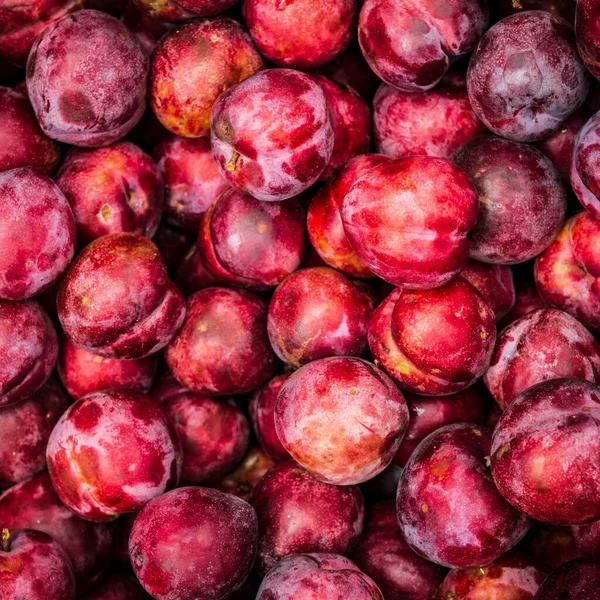 Eine Nahaufnahme Von Einem Haufen Köstlicher Roter Pflaumen — Stockfoto