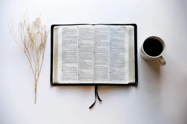 Overhead-Aufnahme eines offenen Buches inmitten eines Kaffees und eines trockenen Grases auf einer weißen Oberfläche — Stockfoto