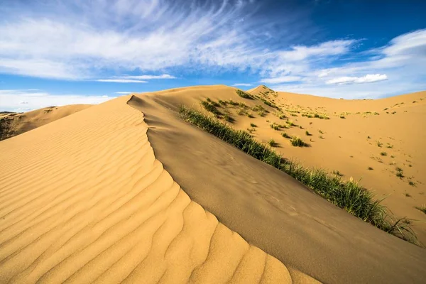 모래 위에 길 이 있고 뒤에 하늘 이 있는 사막 풍경의 아름다운 밝은 사진 — 스톡 사진