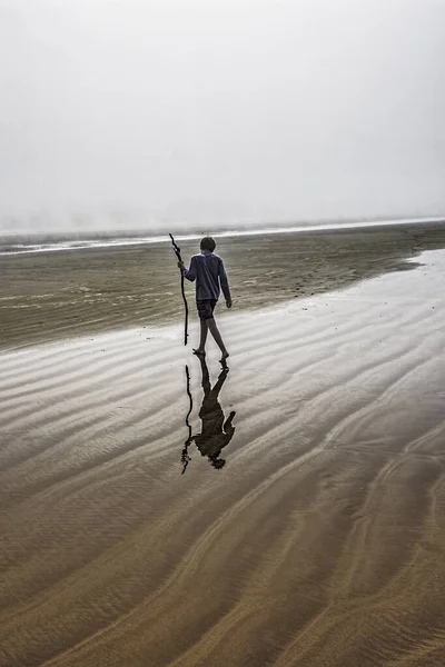 A vertical shot of the reflection of a person with a stick on the beach under the clear sky