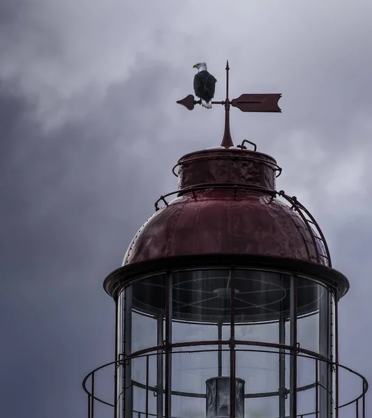 Красивый Снимок Лысого Орла Стоящего Массиве Красного Купола Башни Захватывающим — стоковое фото