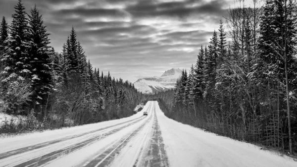 雪山に囲まれた森の真ん中の高速道路での車のグレースケールショット — ストック写真