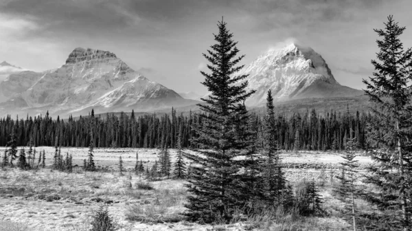 Szary Strzał Pola Otoczonego Śnieżnymi Górami — Zdjęcie stockowe