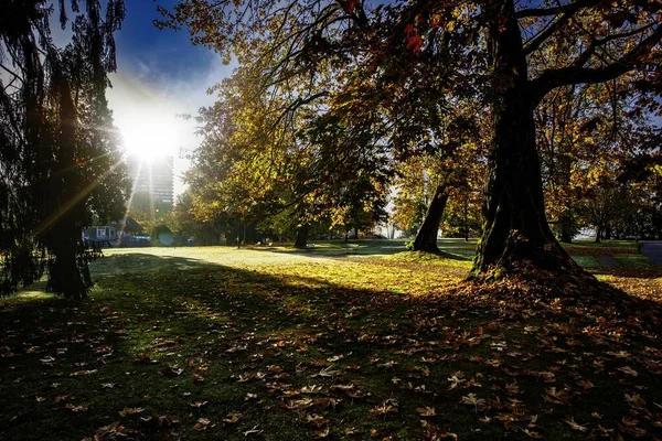 木々の上にカラフルな葉を持つ秋の風景と背景に輝く明るい太陽の美しい景色 — ストック写真