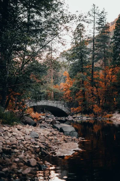 秋の木々や川が美しい景色を垂直撮影し 石の橋につながります — ストック写真