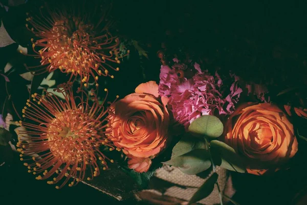 Όμορφα Πολύχρωμα Λουλούδια Στη Σκιά — Φωτογραφία Αρχείου