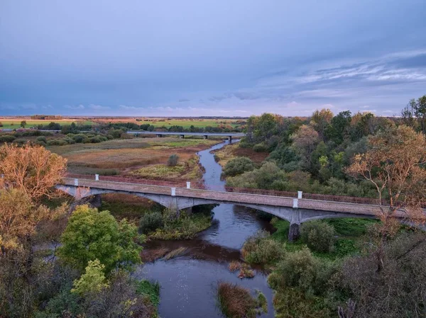 美しい太い木のフィールドに流れる川の上に長い橋の高角度ショット — ストック写真