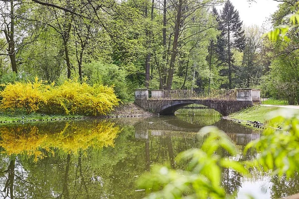 Elszigetelt híd a nyugodt tó felett, körülvéve gyönyörű zöld fákkal, melyek tükröződnek a tóban. — Stock Fotó