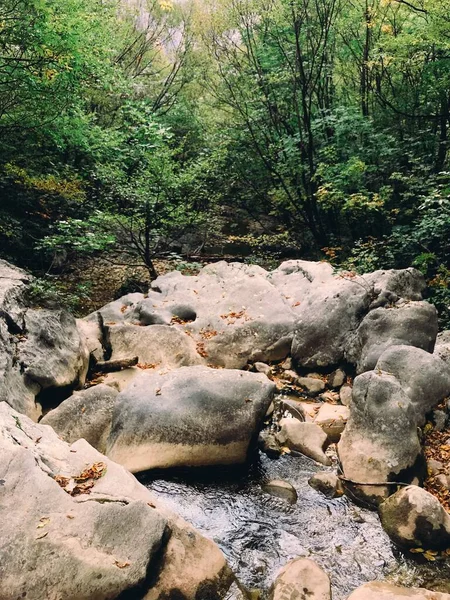 Een Verticaal Schot Van Stenen Een Rivier Omringd Door Prachtige — Stockfoto