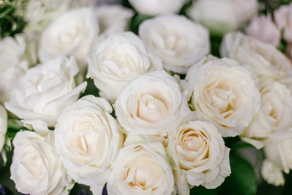 Gyönyörű lövés egy csokor gyönyörű friss fehér rózsa — Stock Fotó