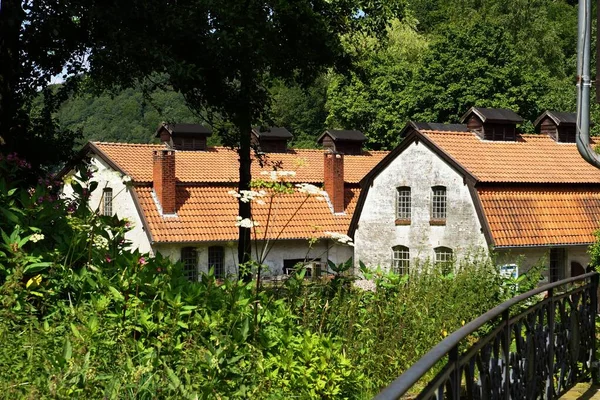 Plano Casas Con Techos Anaranjados Medio Del Bosque — Foto de Stock