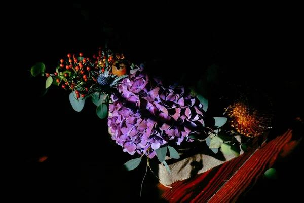 Όμορφα πολύχρωμα λουλούδια στη σκιά — Φωτογραφία Αρχείου