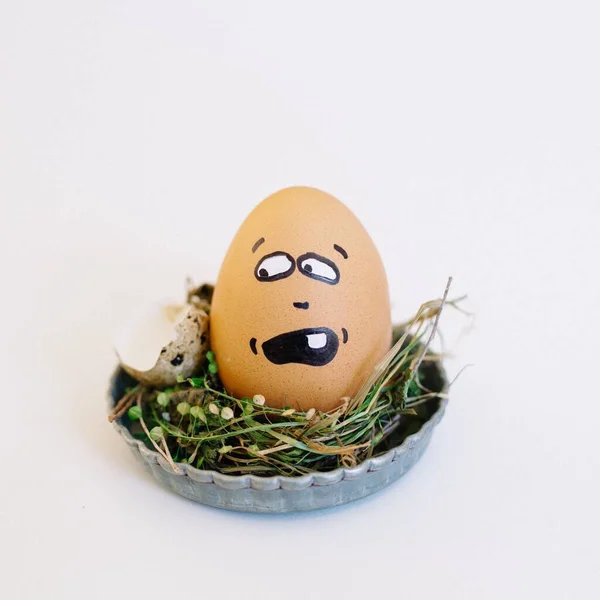 Beyaz Arka Planda Küçük Bir Tabakta Yumurtanın Üzerinde Kuşkucu Bir — Stok fotoğraf
