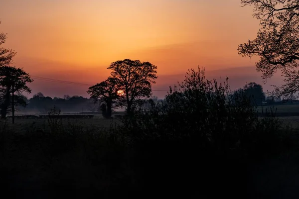 Ein Erstaunlicher Wald Und Der Sonnenuntergang — Stockfoto