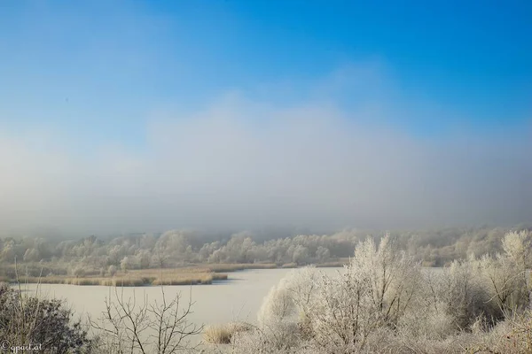 Eine Atemberaubende Aufnahme Einer Winterszene Mit Schneebedeckten Bäumen Unter Dem — Stockfoto