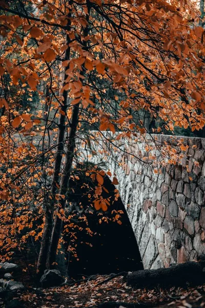 Tiro Vertical Uma Ponte Pedra Uma Árvore Com Folhas Laranja — Fotografia de Stock