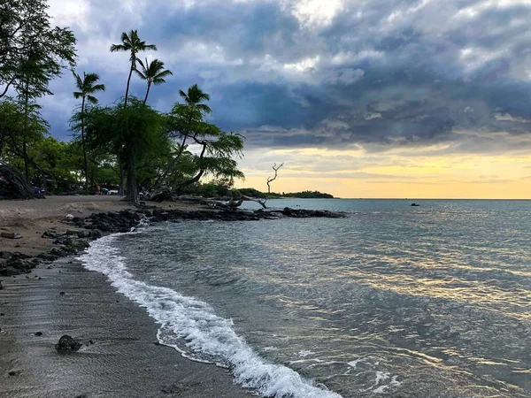 Eine Schöne Aufnahme Vom Strand Mit Palmen Und Bewölktem Himmel — Stockfoto