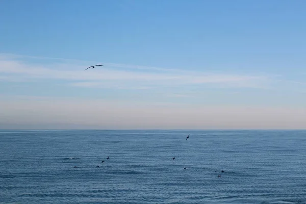 Der Schöne Ozean Langen Strand Kalifornien — Stockfoto