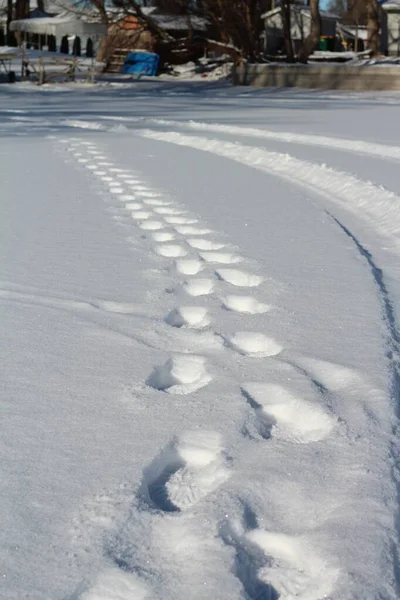 Tiro vertical de passos na neve tomada em Minnesota — Fotografia de Stock