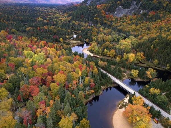 A breathtaking autumn scenery of colorful forest with bridges forming pathways in the middle