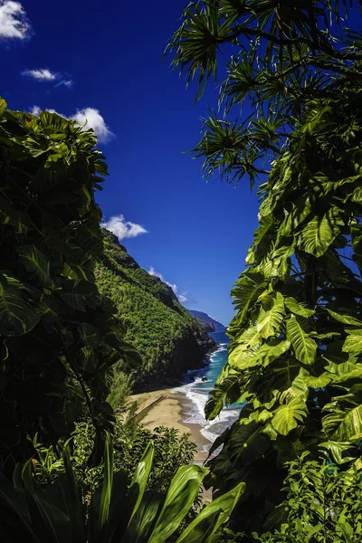 Krásná Scenérie Zelených Hor Blízkosti Moře Obklopená Zelenými Stromy Rostlinami — Stock fotografie
