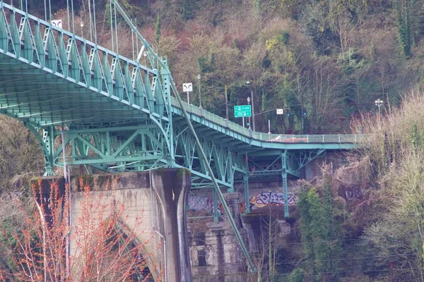 Nízký Úhel Záběru Slavného Mostu Jana Obklopeného Lesem Portlandu Oregon — Stock fotografie