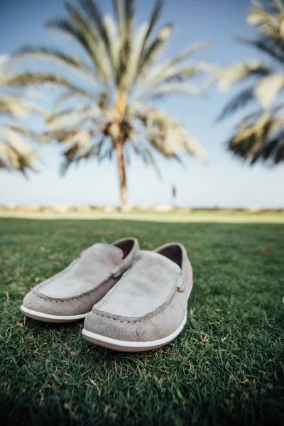 Vertical Shot Pair Gray Shoes Grassy Field Some Palm Trees — Stock Photo, Image