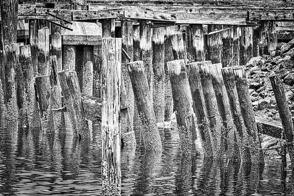 Gray scale shot of logs of wood in the river in front of a wooden pier