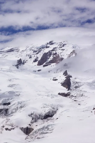 Vertical shot of a white winter scenery from the Mount Rainier National Park, Washington state — Stock Photo, Image