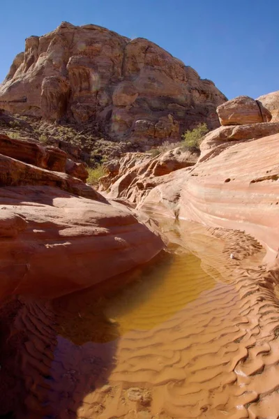 Tiro vertical de un río que fluye a través de rocas en Valley of Fire State Park, Nevada —  Fotos de Stock