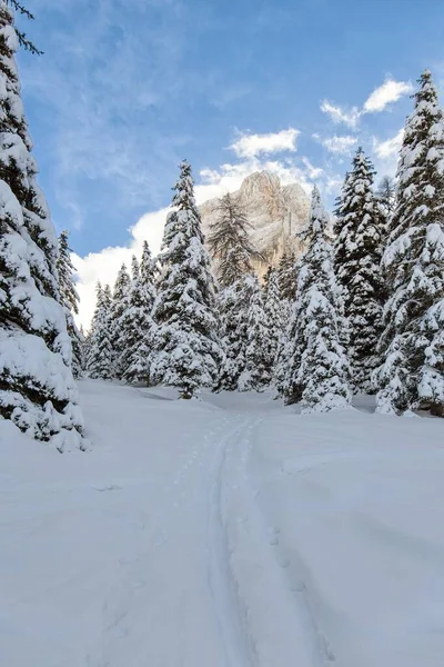 Dolomitas — Fotografia de Stock