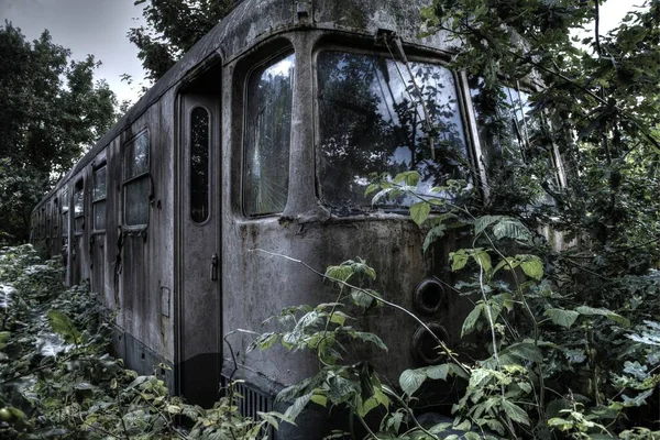 Abandonado destruído velho trem na floresta sob o céu limpo — Fotografia de Stock
