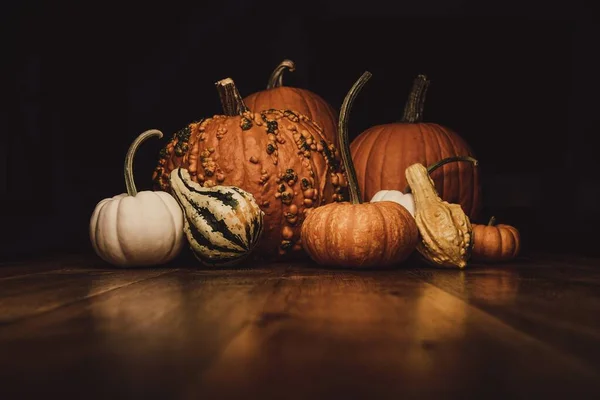 Hermosa toma de calabazas y calabazas sobre una superficie de madera con un fondo negro — Foto de Stock