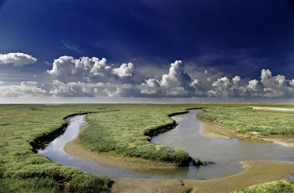 Rivière traversant un champ couvert d'herbe avec les beaux nuages dans le ciel en arrière-plan — Photo