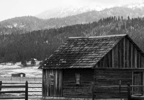 Arka planda ağaç tepeleri olan bir çiftlikteki ahşap kulübenin gri ölçekli görüntüsü. — Stok fotoğraf