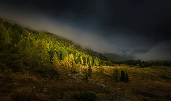 Вид на туманный холм, покрытый деревьями, на фоне облачного неба — стоковое фото