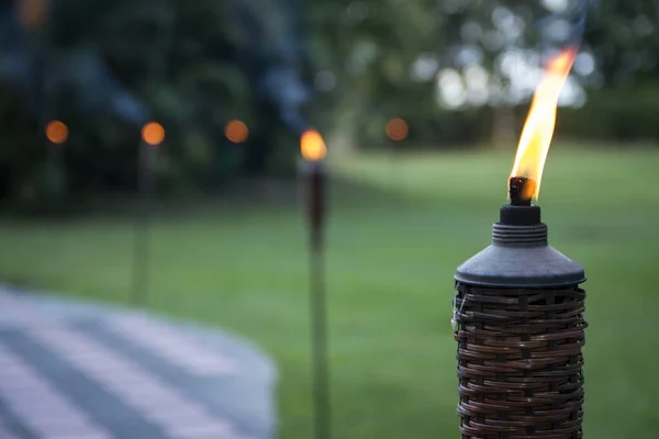 Selectieve focusopname van een aangestoken zaklamp in het midden van een tuin — Stockfoto