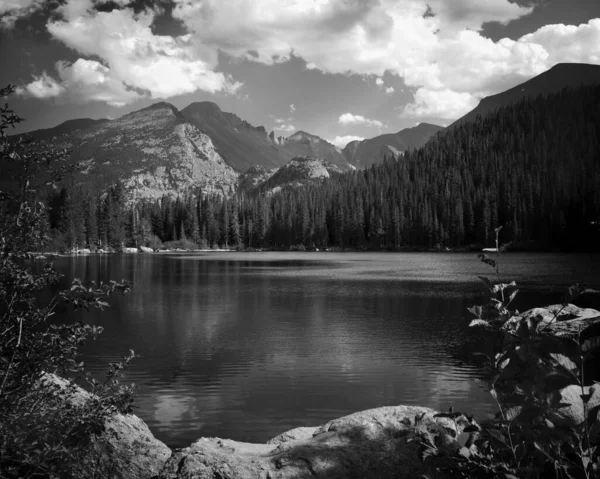 A grayscale shot of beautiful scenery with a lake surrounded by trees and high rocky mountains