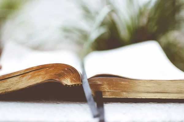 Closeup shot of an old open bible with a blurred background — Stockfoto