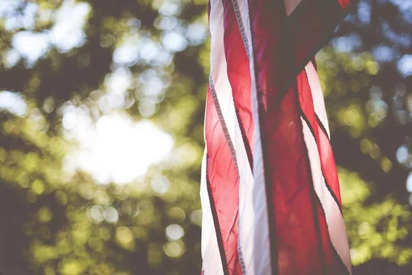 Une Photo Clôture Des Drapeaux Des États Unis Suspendus Sur — Photo