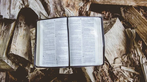 Nad hlavou záběr otevřené bible na polámaných stromech s rozmazaným pozadím — Stock fotografie