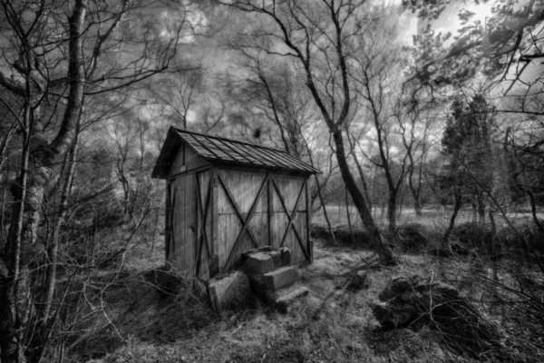 Szary kadr chaty w środku lasu pod zachmurzonym niebem — Zdjęcie stockowe