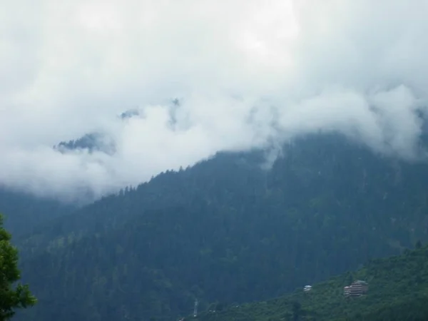 Bel Colpo Foreste Montagna Sul Tempo Nebbioso Cielo Bianco Sullo — Foto Stock