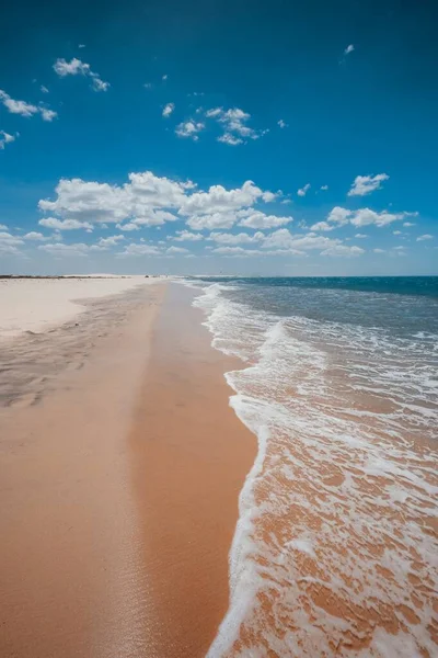 A vertical shot of the foamy waves coming to the sandy beach under the beautiful blue sky