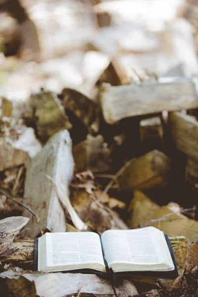 Tiro vertical de uma bíblia aberta no chão com árvores desfocadas quebradas no fundo — Fotografia de Stock