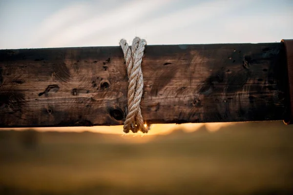 Nahaufnahme Eines Eine Holzpflanze Gewickelten Seils Mit Unscharfem Hintergrund — Stockfoto