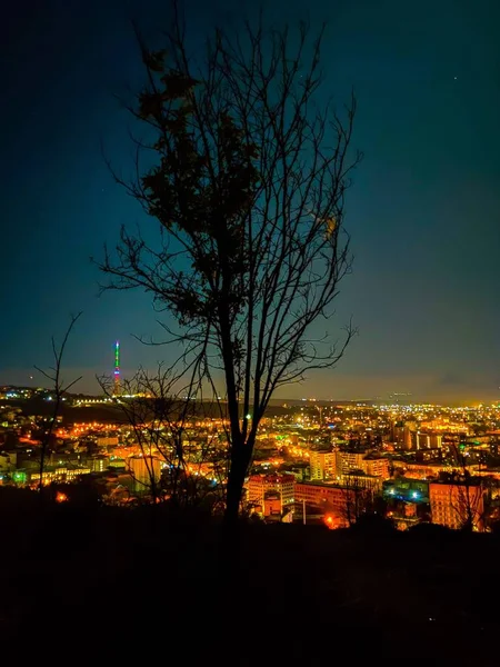 Colpo verticale di una sagoma di un albero e la città illuminata di Erevan nello sfondo — Foto Stock