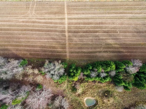 Hög vinkel skott av ett fält med delvis gått torr på grund av förändringar i vädret — Stockfoto