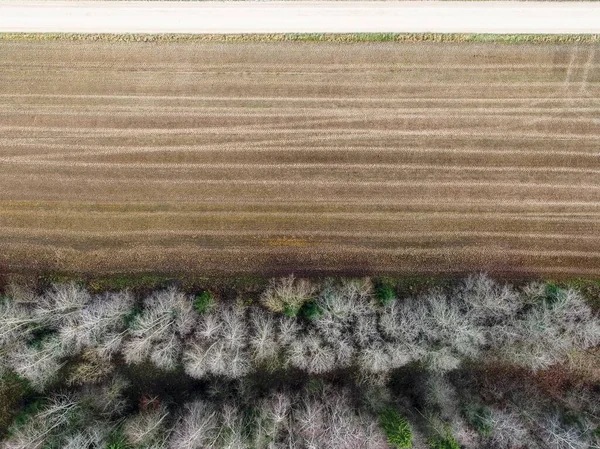 Hög vinkel skott av ett fält med delvis gått torr på grund av förändringar i vädret — Stockfoto
