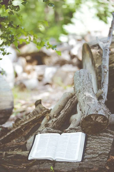 Вертикальна копія священної Біблії, розміщена на шматку дерева в природному середовищі. — стокове фото